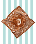 Brown Silk Scarf