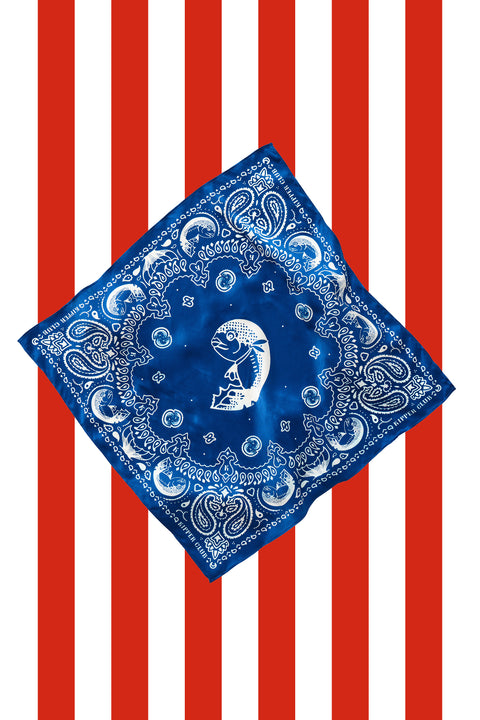 Blue Silk Scarf