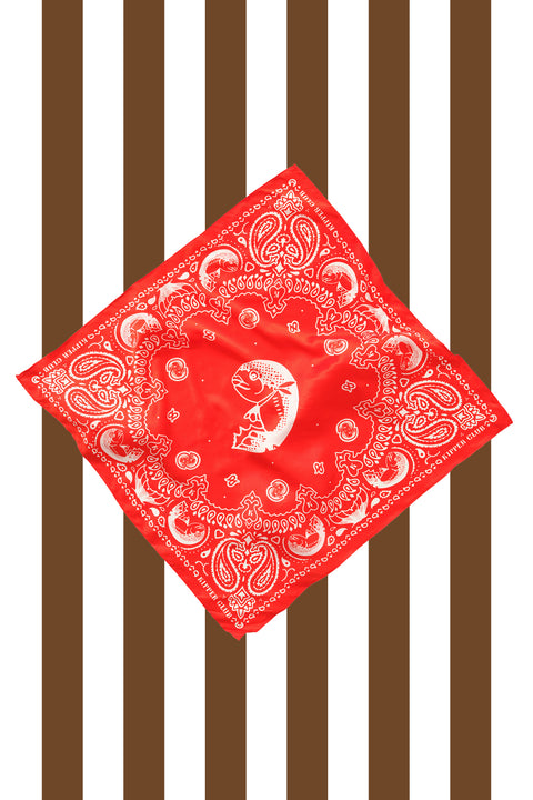 Red Silk Scarf