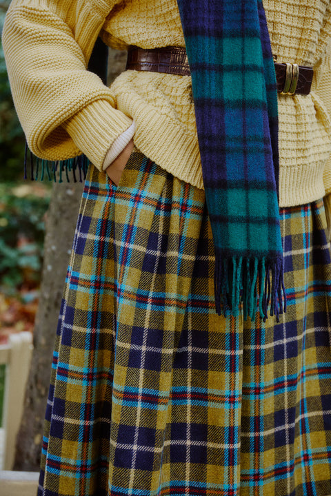 Liquorice Allsort Skirt