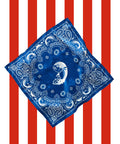 Club Silk Scarf
