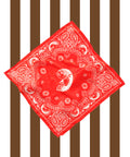 Red Silk Scarf
